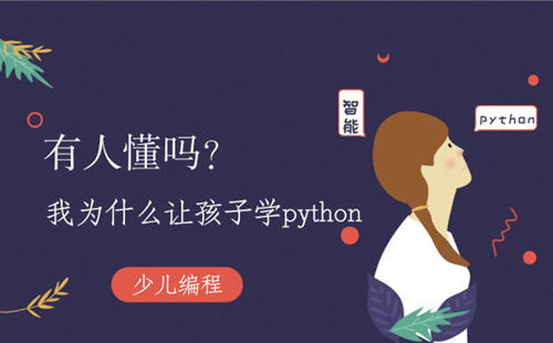 北京的Python编程语言