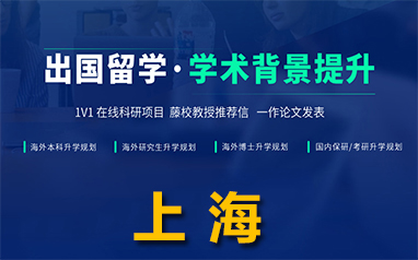 上海国内1V1在线科研背景提升项目