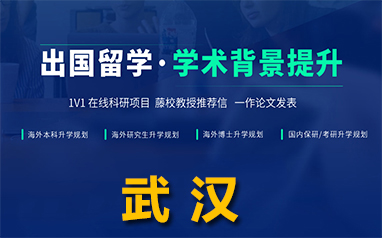 武汉国内1V1在线科研背景提升项目