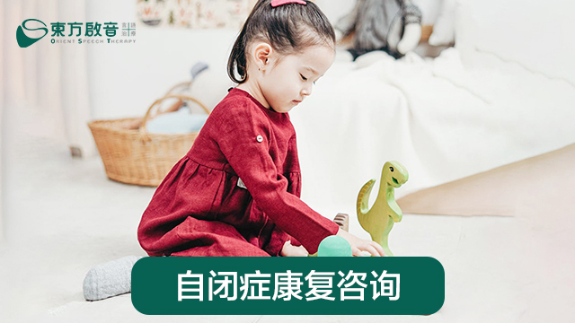武汉江岸区儿童自闭症干预训练-东方启音香港路校区